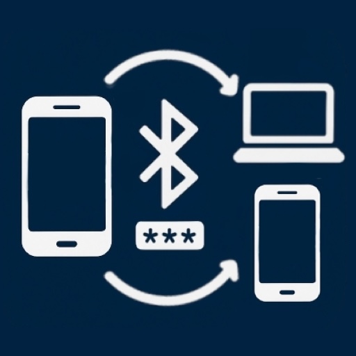 Logo Portachiavi Bluetooth